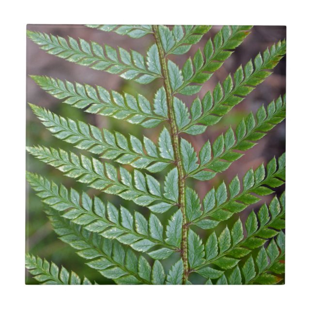 Green fern leaf pattern tile (Front)