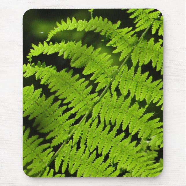 Green fern mouse pad (Front)