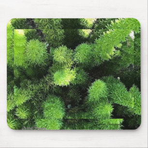 Green Fern Mouse Pad