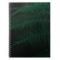 GREEN FERN PLANT IN CLOSE UP PHOTOGRAPHY