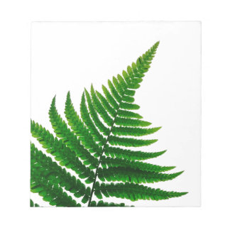 Green Fern Print Woodlands Leaf Notepad