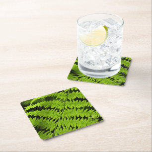 Green fern square paper coaster