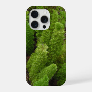 Green Fern Stalks iPhone 15 Pro Case