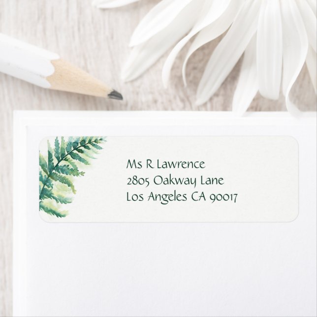 Green Fern Watercolor (Insitu)