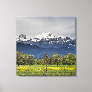 Green field with snowy alps canvas print
