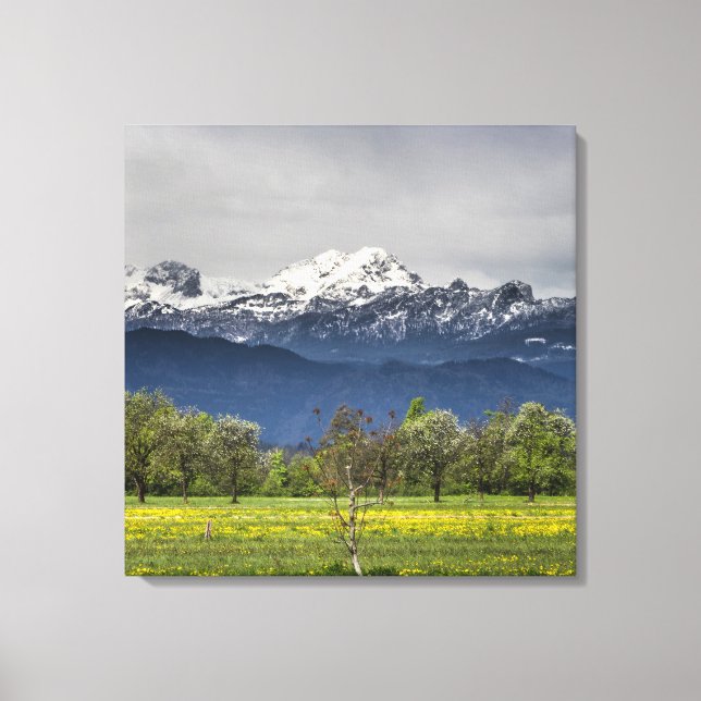 Green field with snowy alps canvas print (Front)