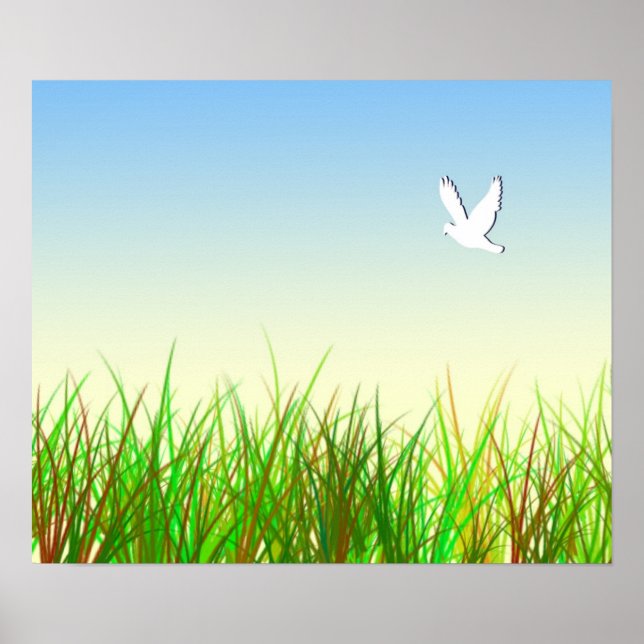 Green field with White dove Poster (Front)