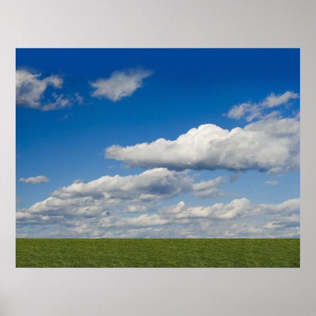 green filed, blue sky, white cloud poster (Front)