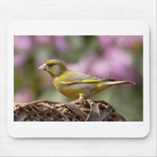 Green Finch Mouse Pad