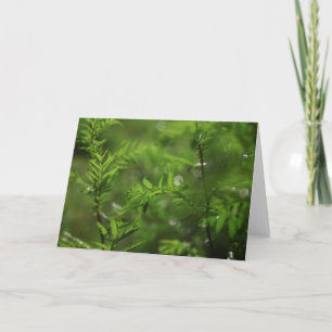 Green Floral Common Tansy Card