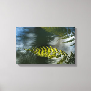 Green Floral Fern Canvas Print