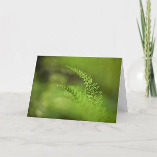 Green Floral Fern Nature Photo Card