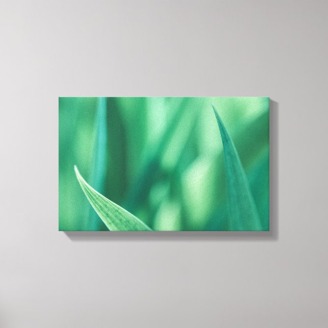 Green Floral Nature Photo Canvas Print (Front)
