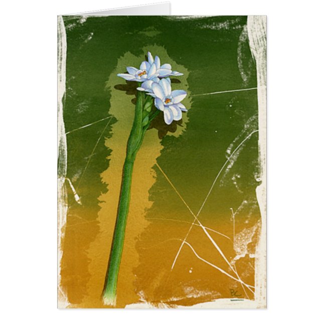 Green Flower (Front)