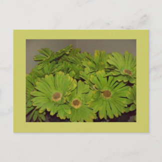 Green Flower Power Postcard