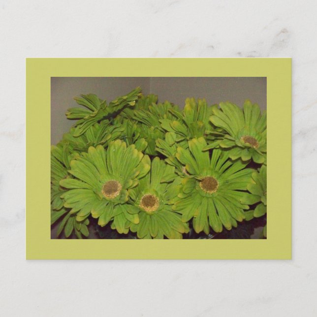 Green Flower Power Postcard (Front)
