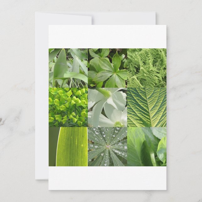 Green Flowers (Front)