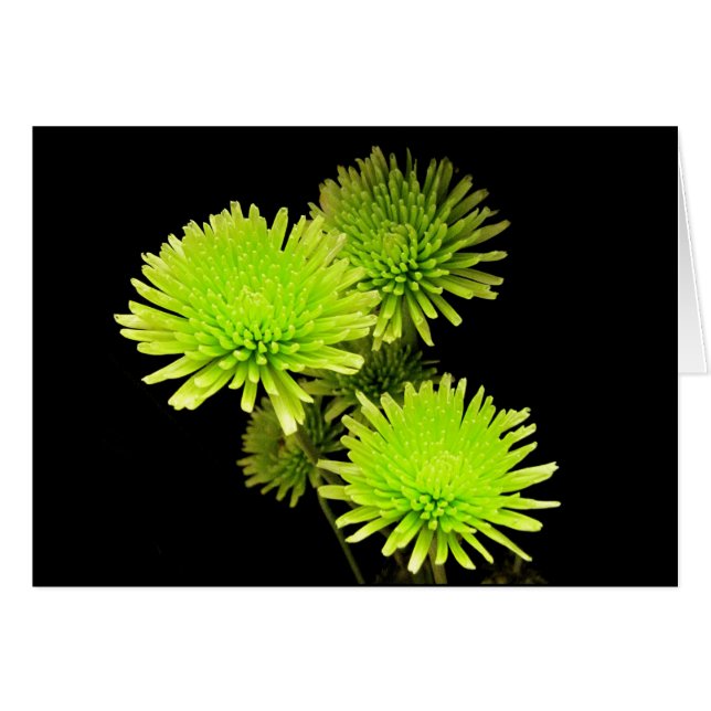 Green Flowers (Front Horizontal)