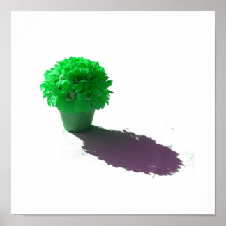 Green Flowers White Bucket and Shadow Poster