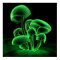Green Fluorescence (Square)