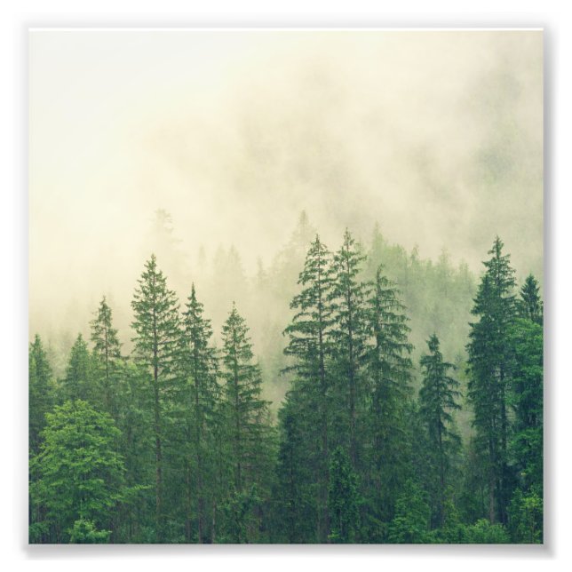 Green Foggy Rocky Mountains Colorado USA Adventure Photo Print (Front)