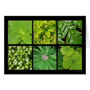 Green Foliage Card