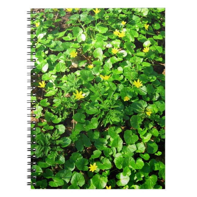 green foliage notebook (Front)