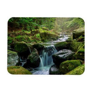 Green Forest and River Magnet