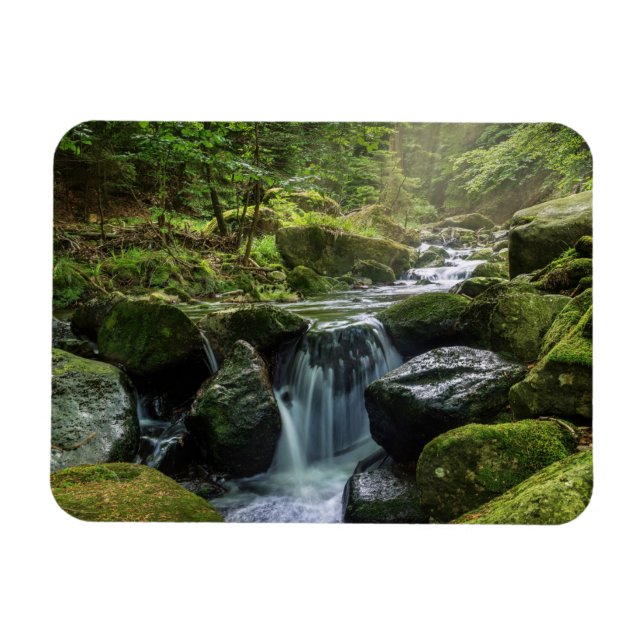 Green Forest and River Magnet (Horizontal)