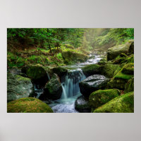 Green Forest and River