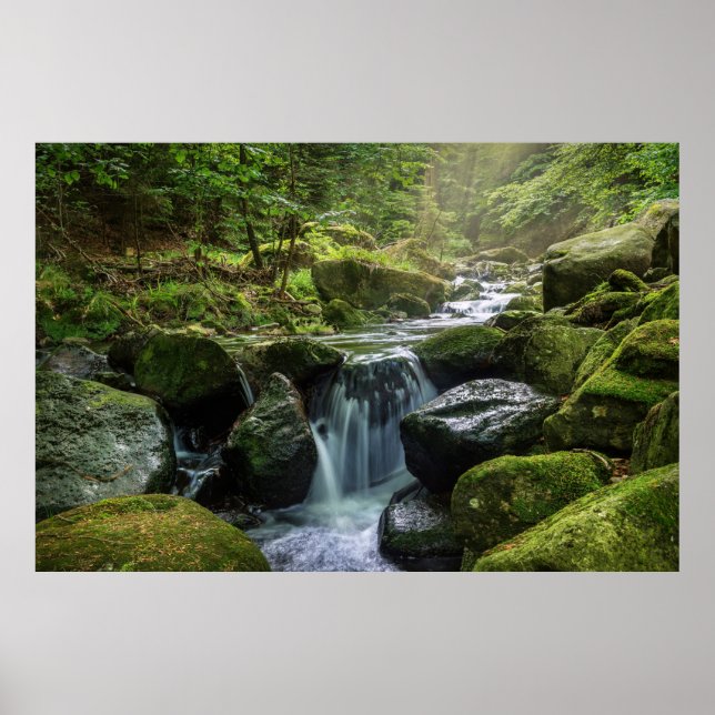 Green Forest and River Poster (Front)