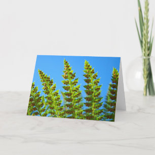 Green Forest Fern Fronds Greeting Cards Flora