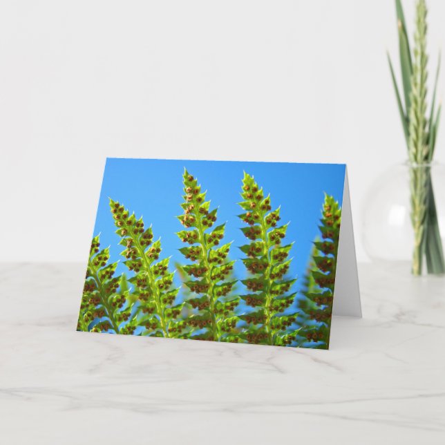 Green Forest Fern Fronds Greeting Cards Flora (Front)