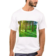 Green Forest Image - Lush Nature