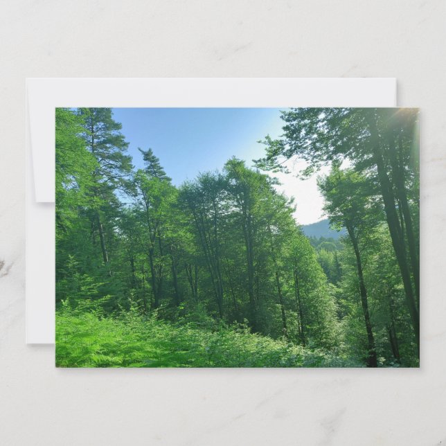 Green Forest Landscape Photography   Invitation (Front)