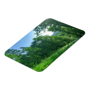 Green Forest Landscape Photography Magnet