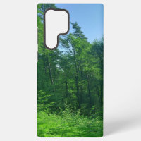 Green Forest Landscape Photography 