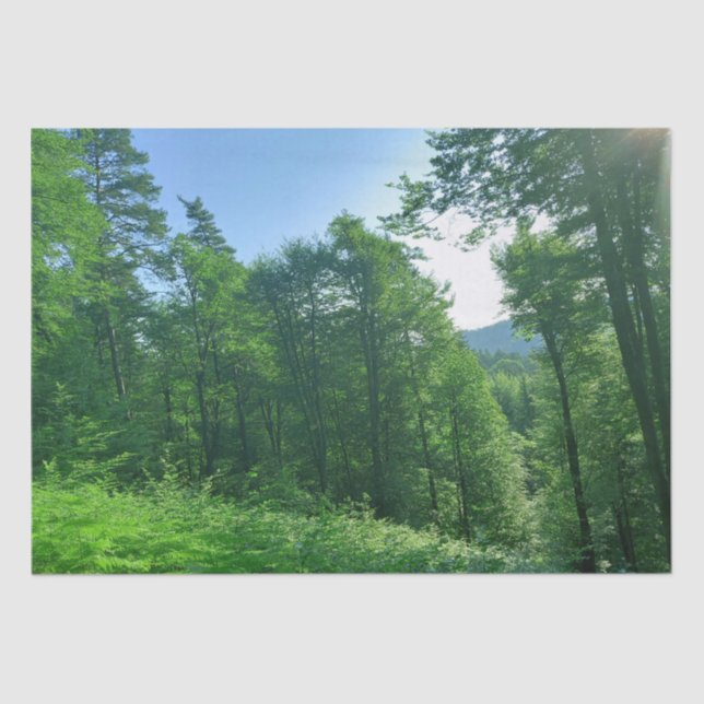 Green Forest Landscape Photography  Tissue Paper (Front)