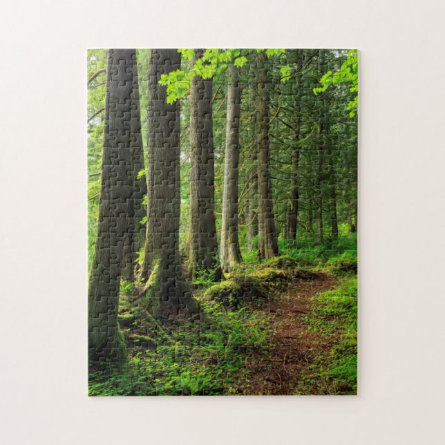 Green Forest Trail Scenic Jigsaw Puzzle (Vertical)