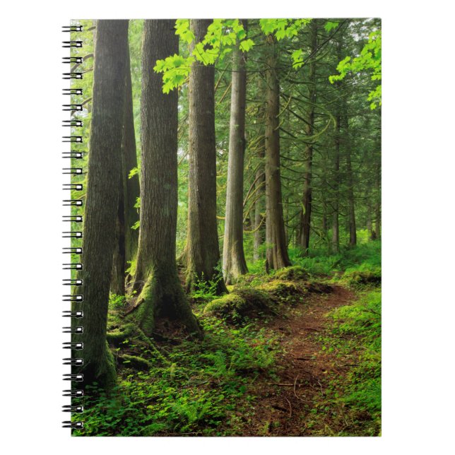 Green Forest Trail Scenic Notebook (Front)