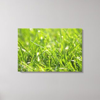 Green Fresh Morning Grass Canvas Print