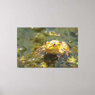 Green Frog In Shallow Water Acrylic Painting Canvas Print