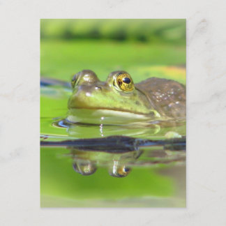 Green Frog Invitation