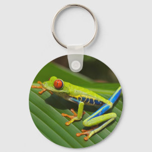Green Frog Key Ring
