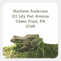Green Frog on a Mossy Rock Return Address Labels