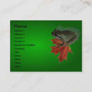 Green Frog Profile Card