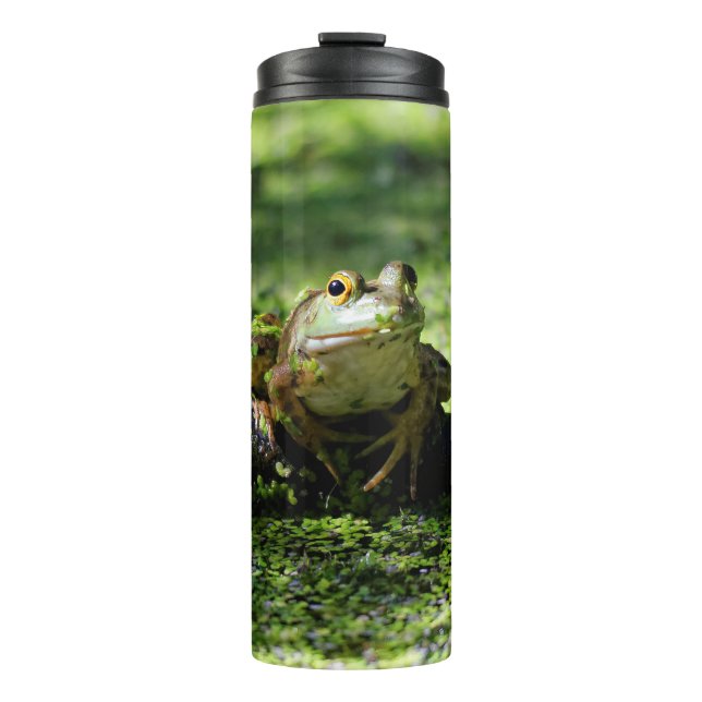 Green Frog Strikes a Pose on the Hose Thermal Tumbler (Front)
