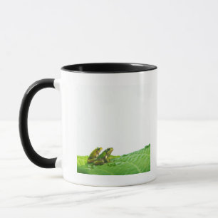 Green frogs on the leave mug