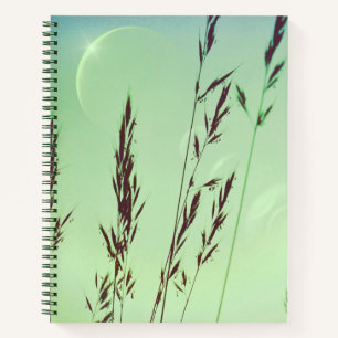 Green fronds leaves moon phases night sky  notebook