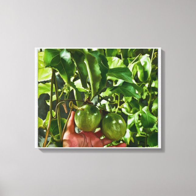 Green Fruit Canvas Print (Front)